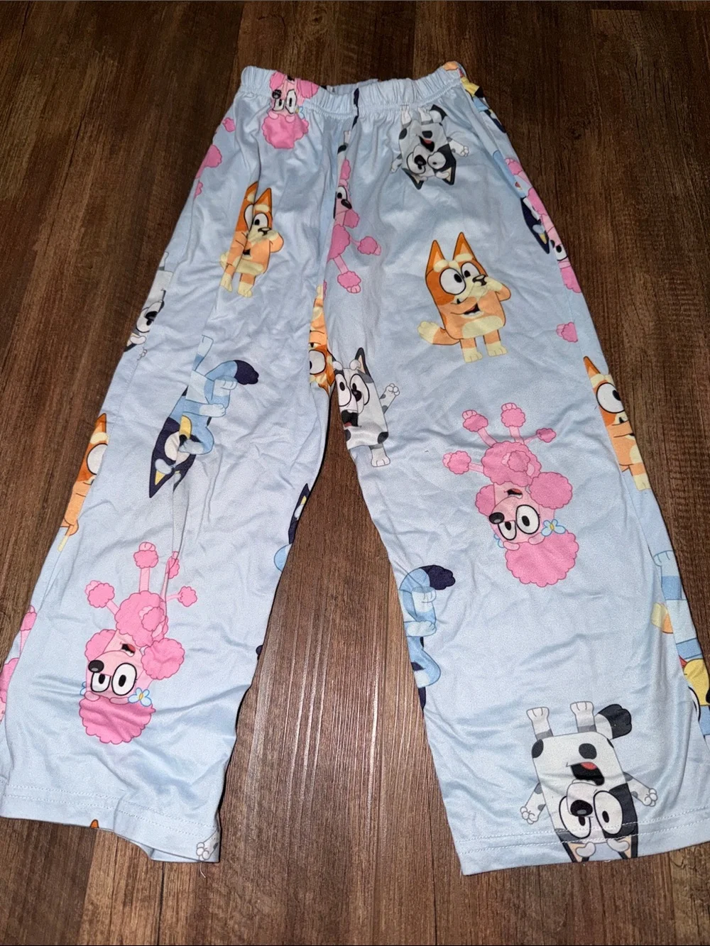 Girls Bluey 2 Piece Pajama Set Size 6 Super Soft